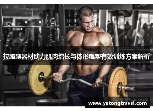 拉胳膊器材助力肌肉增长与体形雕塑有效训练方案解析