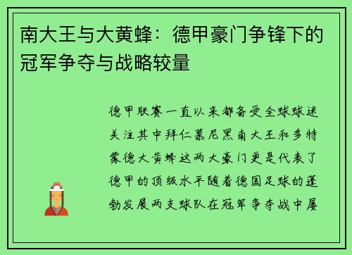南大王与大黄蜂：德甲豪门争锋下的冠军争夺与战略较量