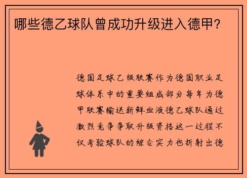 哪些德乙球队曾成功升级进入德甲？